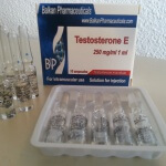 Der perfekte Testosteron Zyklus - die beste Wahl für begleitende Medikamente und weitere Steroide
