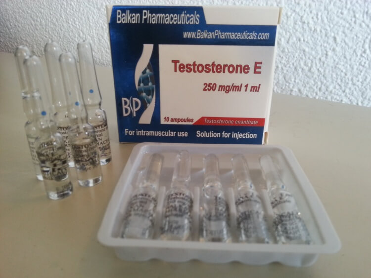 Der perfekte Testosteron Zyklus - die beste Wahl für begleitende Medikamente und weitere Steroide